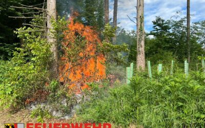 F1 – Brand im Freien